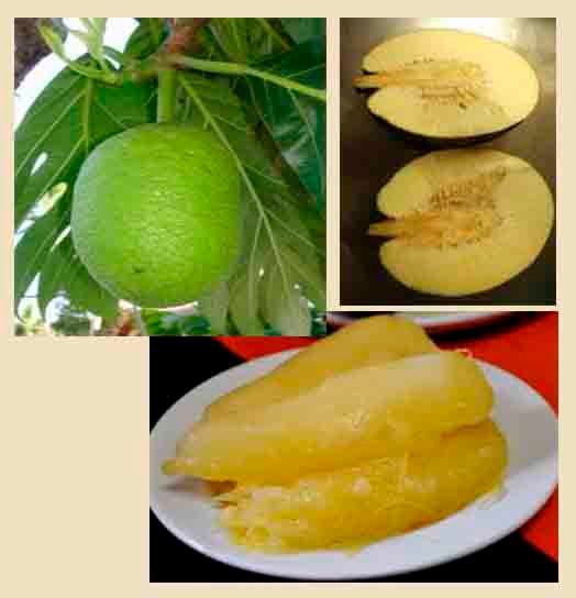 Receitas da Aldeia - Pousada em Boipeba